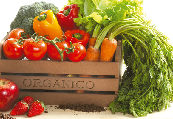 Cresce a procura por alimentos orgânicos no Brasil