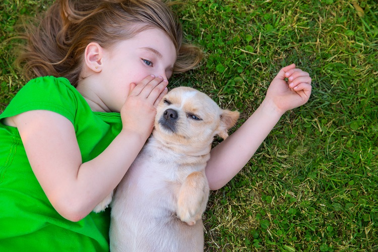 Crianças e animais de estimação: como lidar com essa convivência